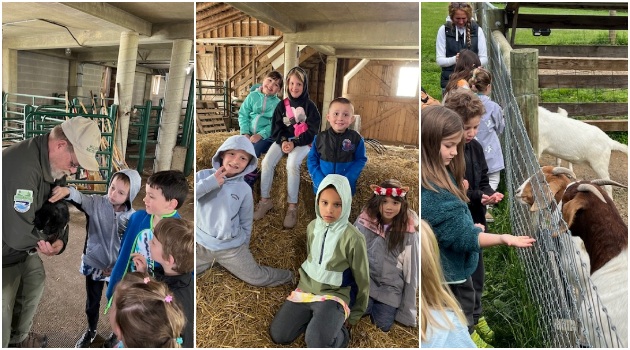 1stGradeMalabarFarm