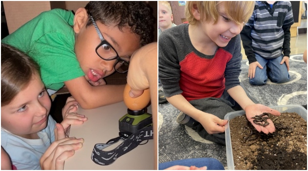 KindergartenEggsWorms